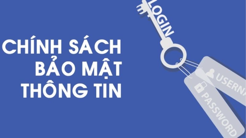 Mọi hành vi cố tình sử dụng trái phép đều vi phạm điều khoản