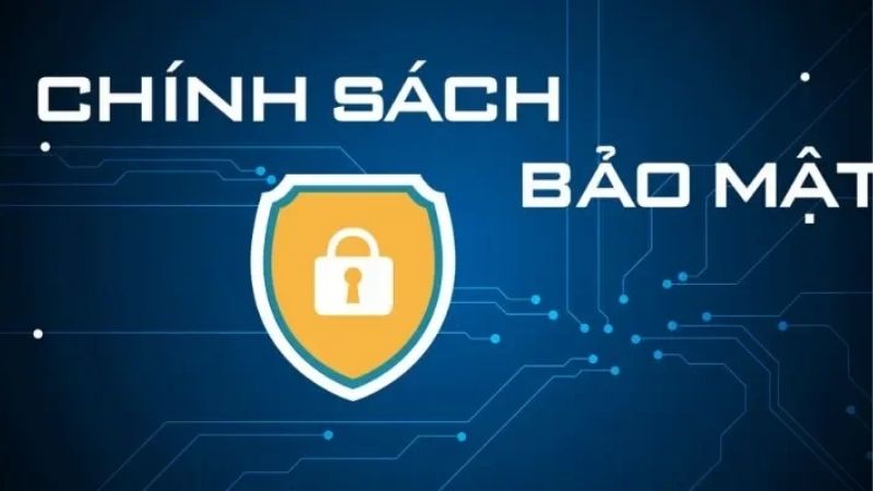 Chính Sách Cá Cược Tại Kubet